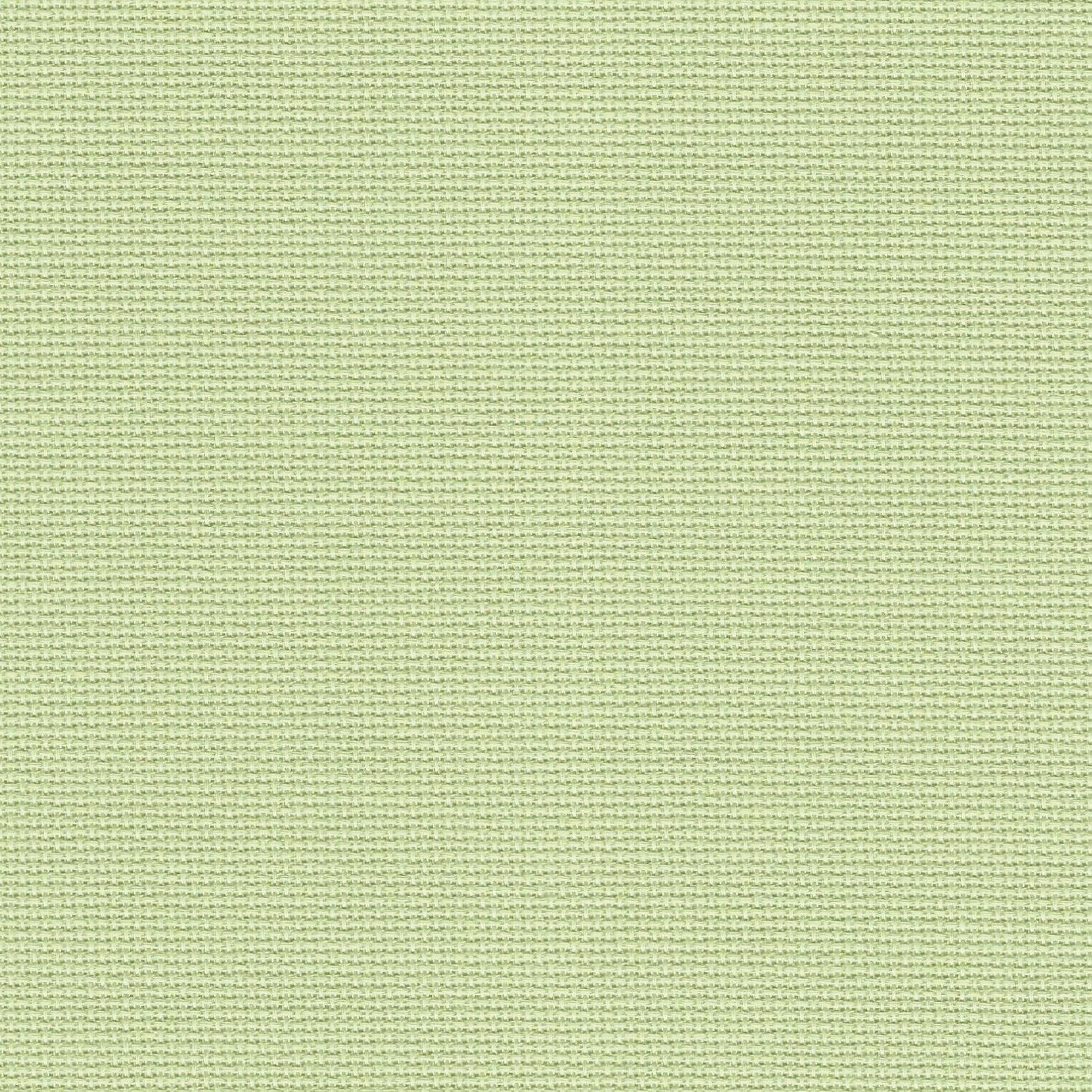 Zweigart 20 count Pretty soft green Aida 50 x 55 cm  3456 6083