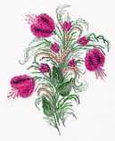 Snowbells Edmar 5121 Snowbells Edmar 5121