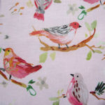 Dear Stella Birds on blush 1164